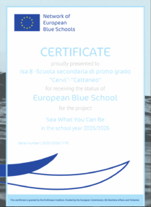 Certificato blue school